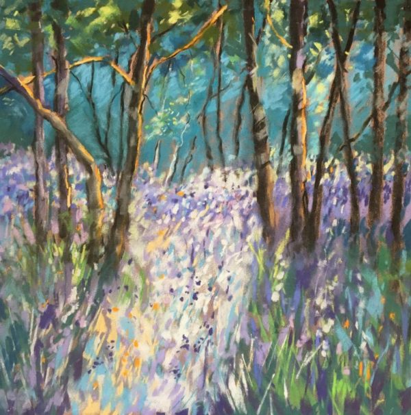 Bluebell Walk