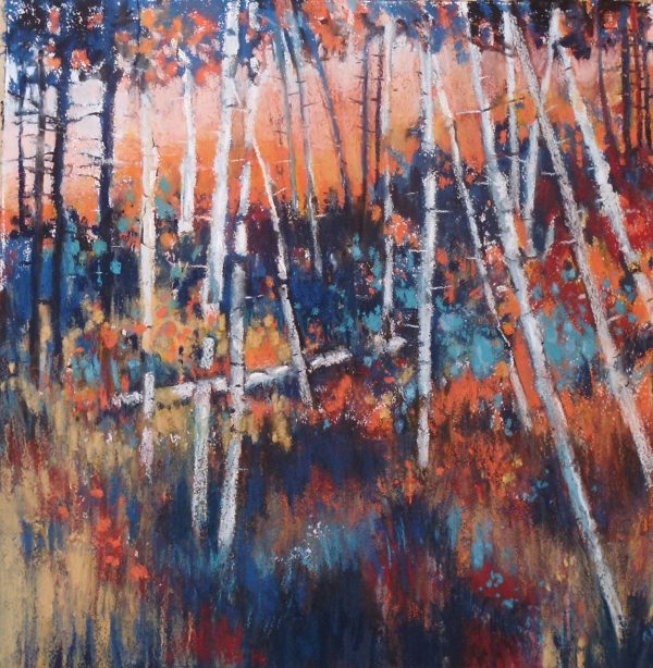 Evening Birch Trees