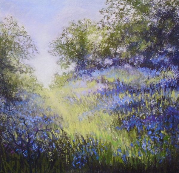 Field Bluebells